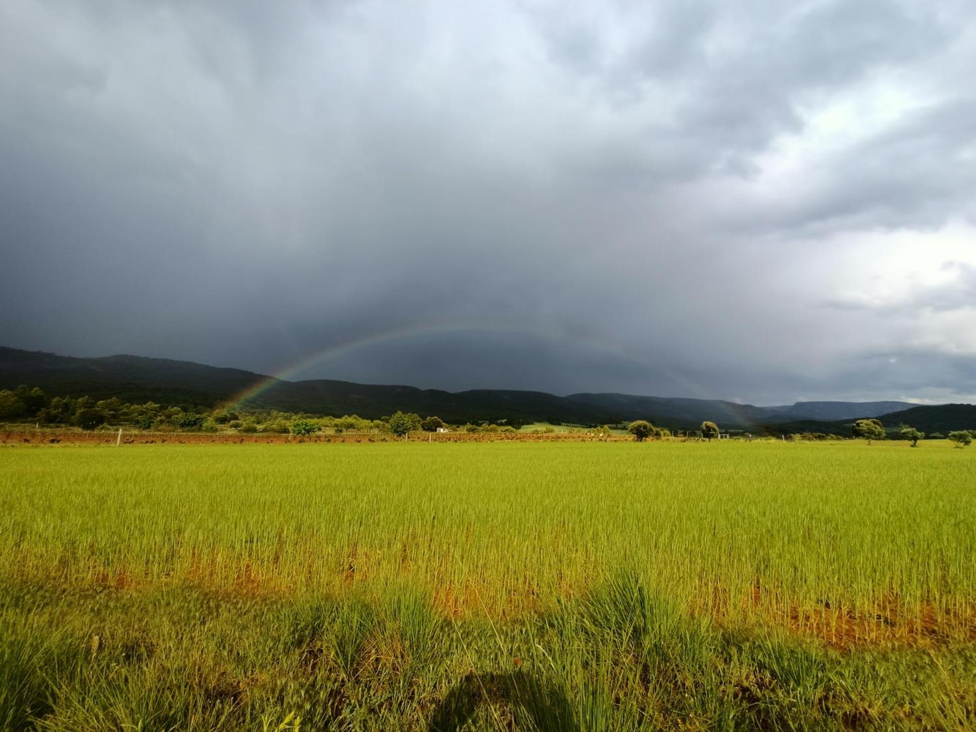Alojamiento Rural El Cerro Fresneda de la Sierra Екстер'єр фото