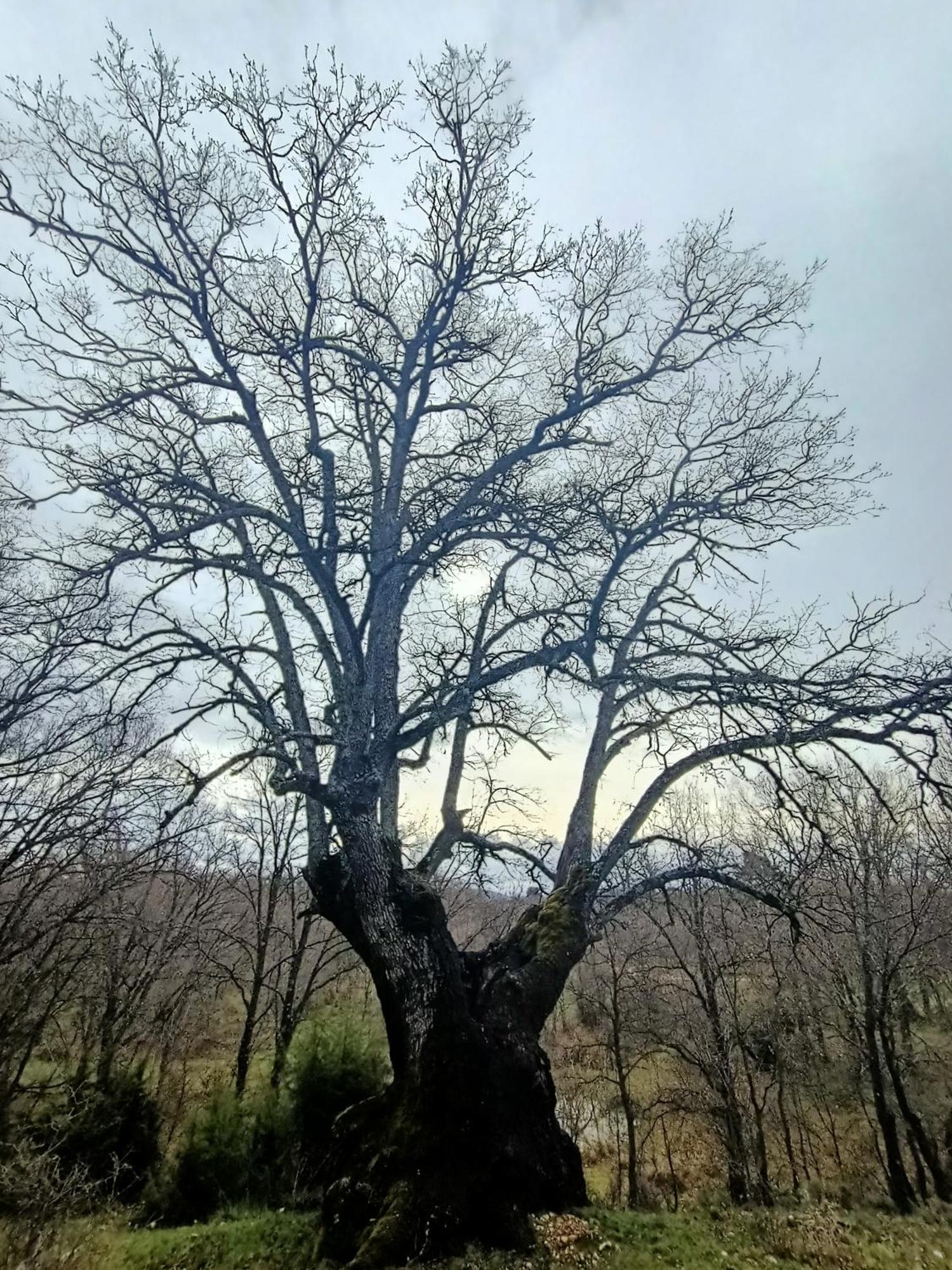 Alojamiento Rural El Cerro Fresneda de la Sierra Екстер'єр фото