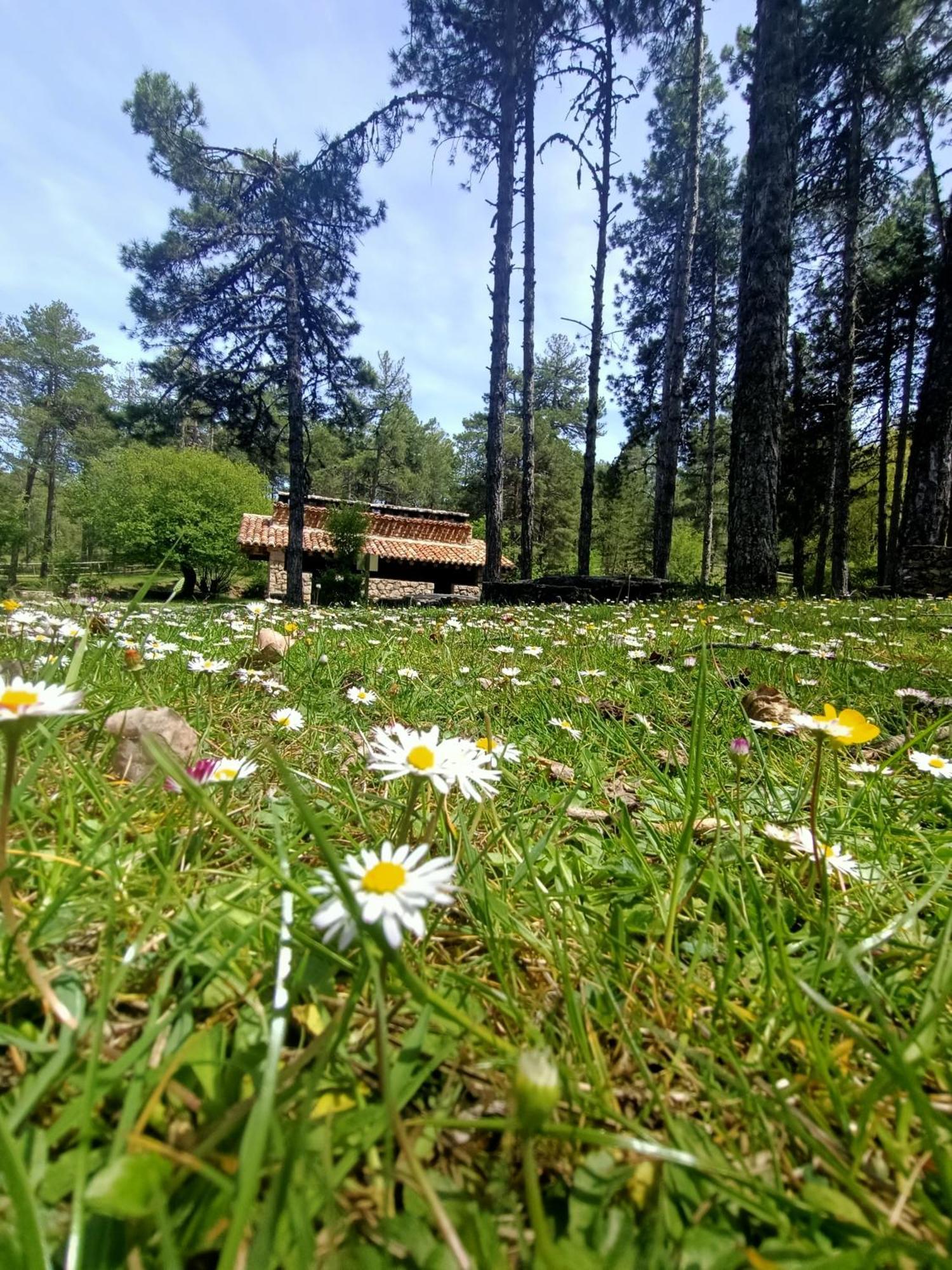 Alojamiento Rural El Cerro Fresneda de la Sierra Екстер'єр фото